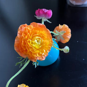 Meet your Posher, Claire